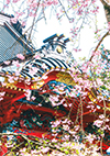 御影堂と桜（Ａ４）